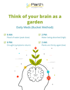 brain as garden_infographic